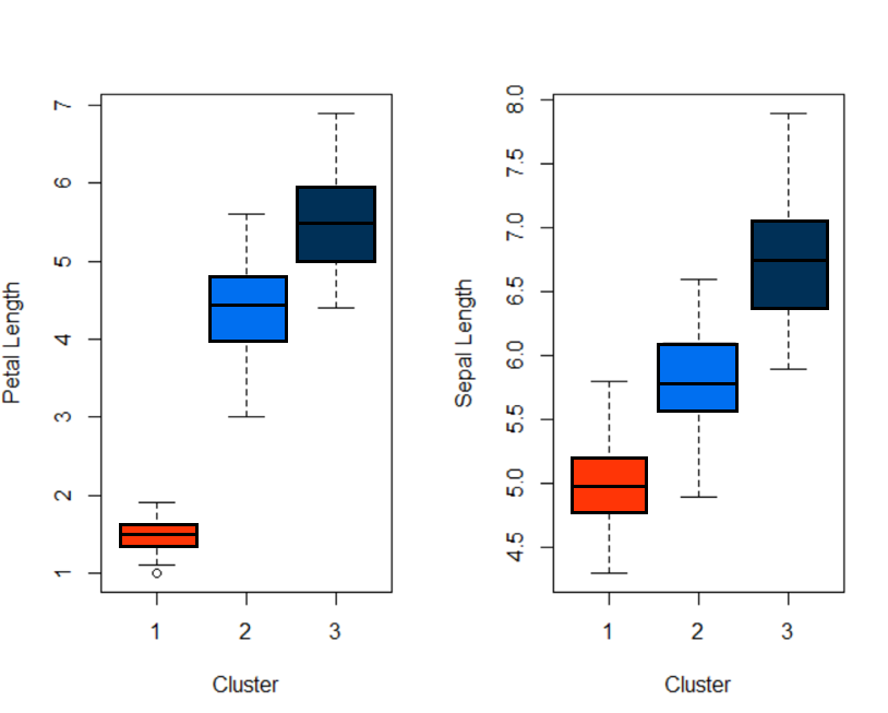 cluster analysis